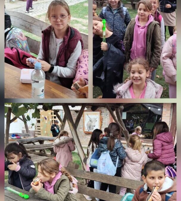 Izlet u Specijalni rezervat prirode Zasavica/Излет у Специјални резерват природе Засавица