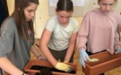 Radionica sadnje biljaka/Радионица садње биљака