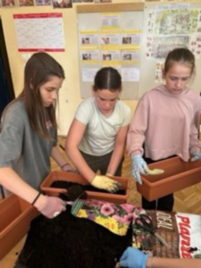 Radionica sadnje biljaka/Радионица садње биљака