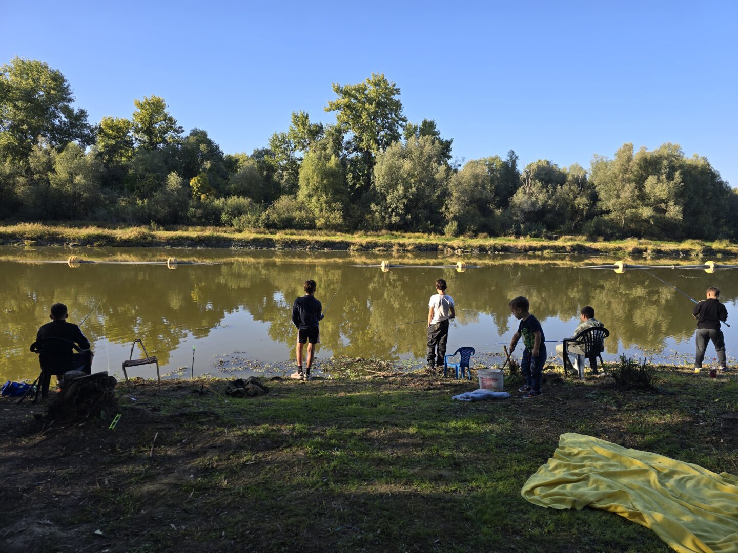 Grupna leđa